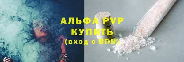 стаф Абинск
