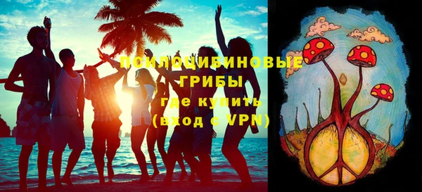 стаф Абинск