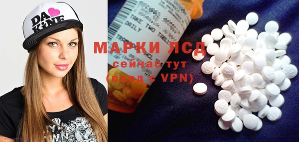 стаф Абинск