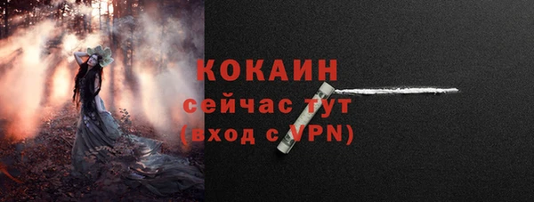 стаф Абинск