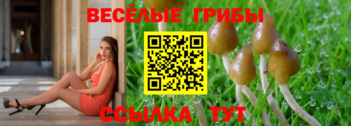 Азнакаево  Галлюциногенные грибы GOLDEN TEACHER  Вход с VPN 